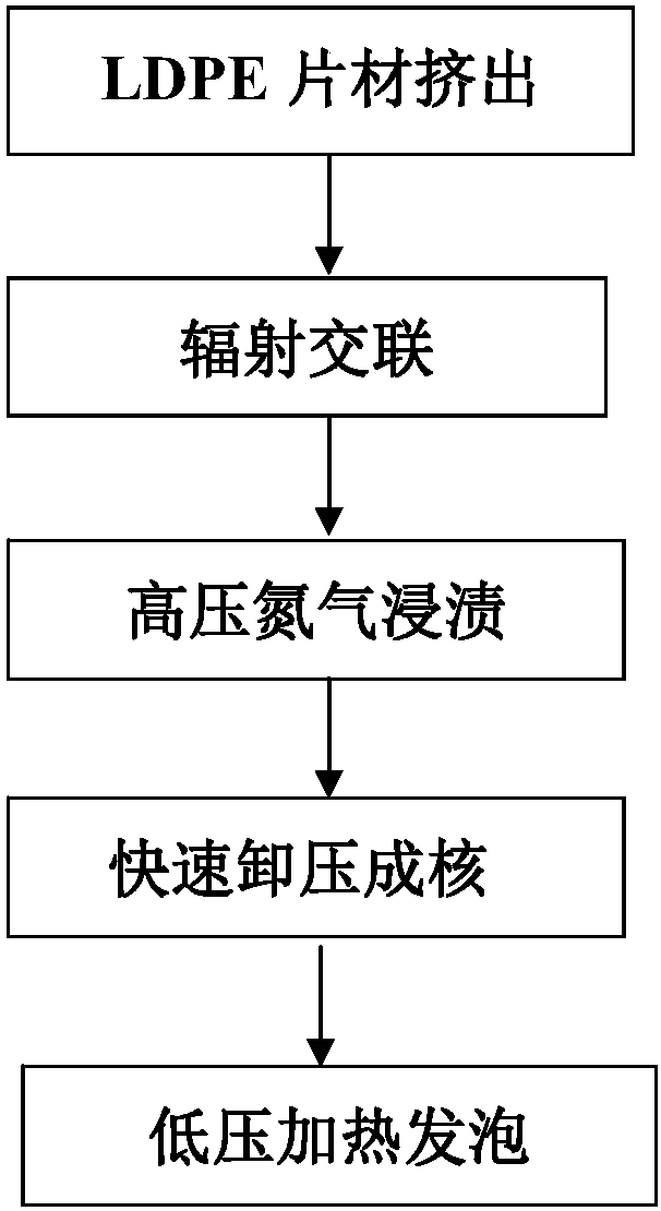 A kind of supercritical fluid foamed polyolefin material and preparation method thereof