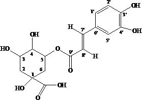 A method for preparing high-purity chlorogenic acid from chrysanthemum notoginseng