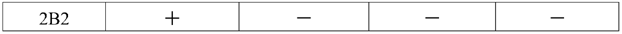 Somatostatin (SS) anti-idiotype monoclonal antibody vaccine and preparation method thereof