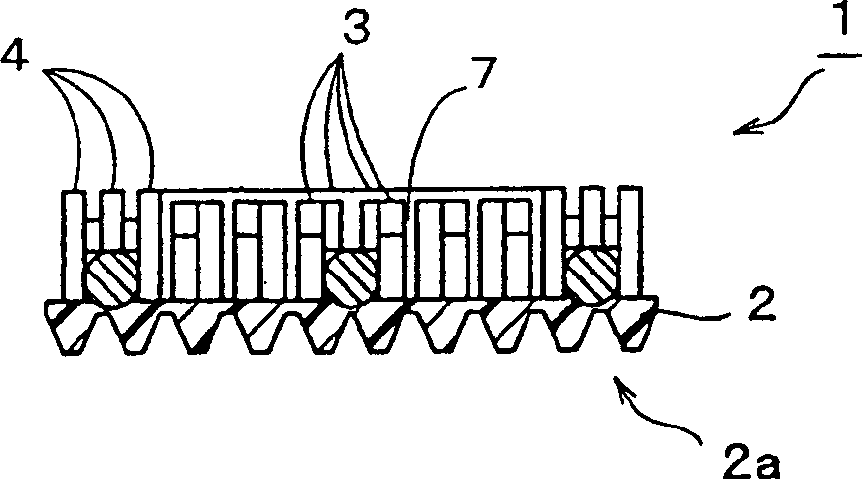 Molded surface fastener and cushion body formed integrally with the molded surface fastener