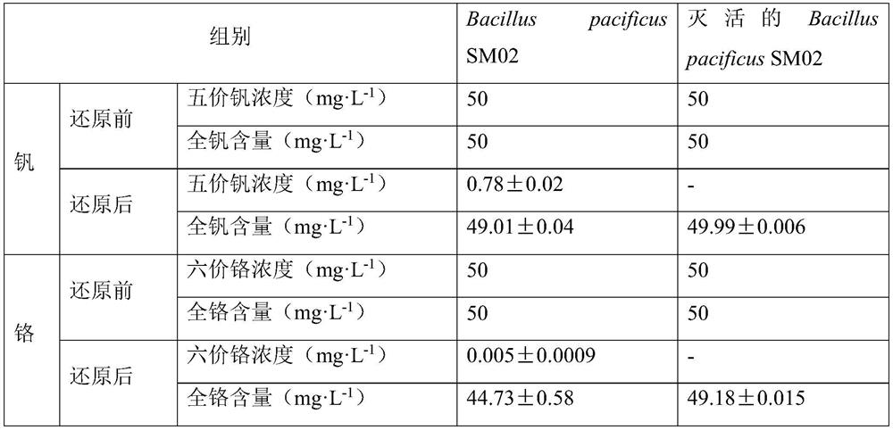 Bacillus separated from soil and application thereof