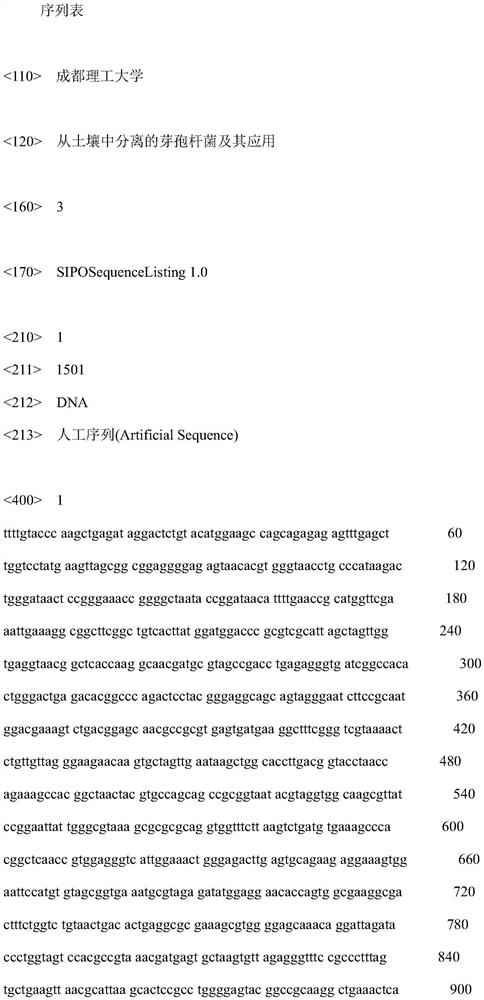 Bacillus separated from soil and application thereof