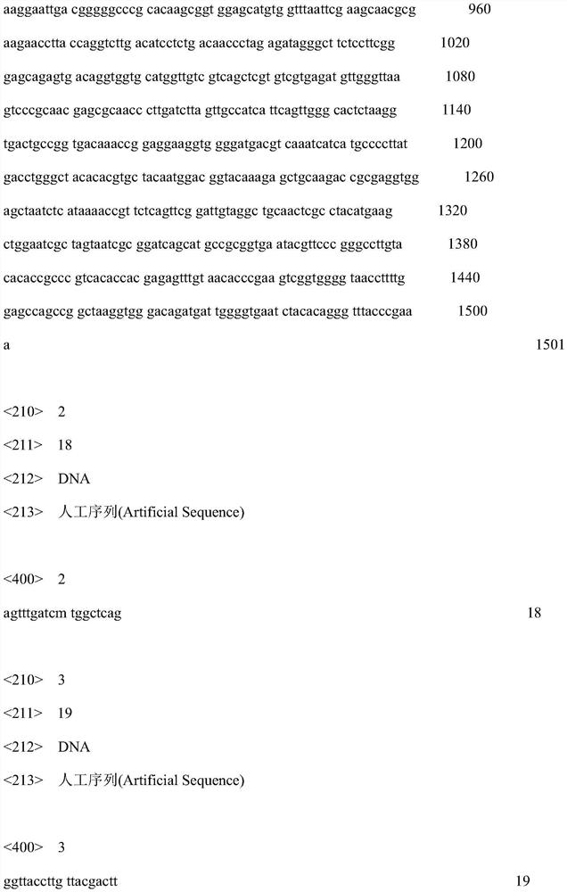 Bacillus separated from soil and application thereof