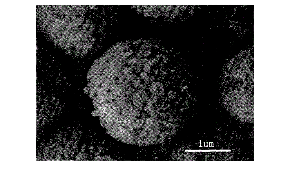 Nano palladium supported amphipathic carbon sphere catalyst and application thereof to aqueous-phase Heck reaction