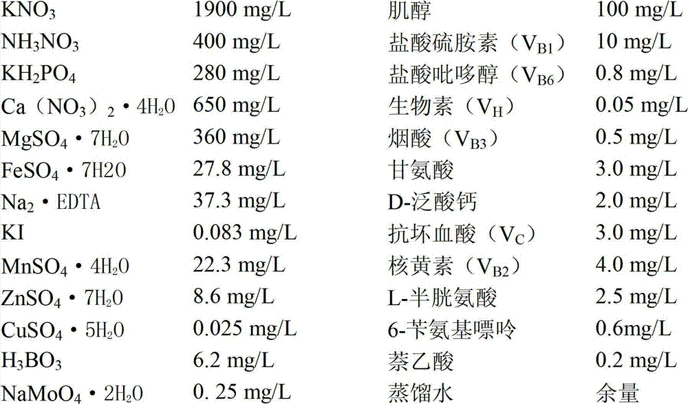 Eucalypt tissue culture medium