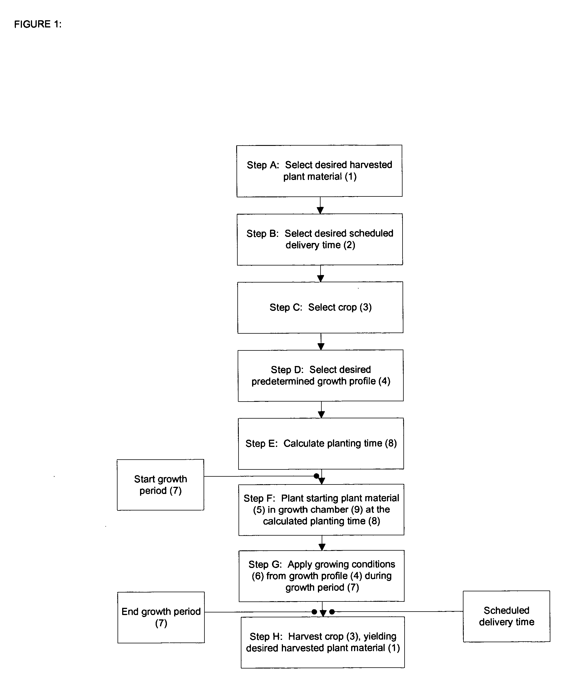 Method and apparatus for the scheduled production of plant extracts