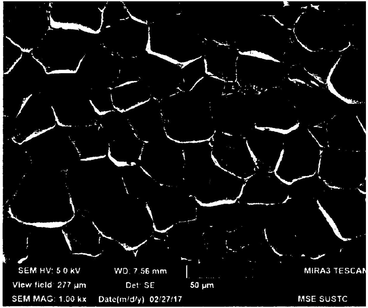 Thermoplastic polymer foam bead and method for preparing same