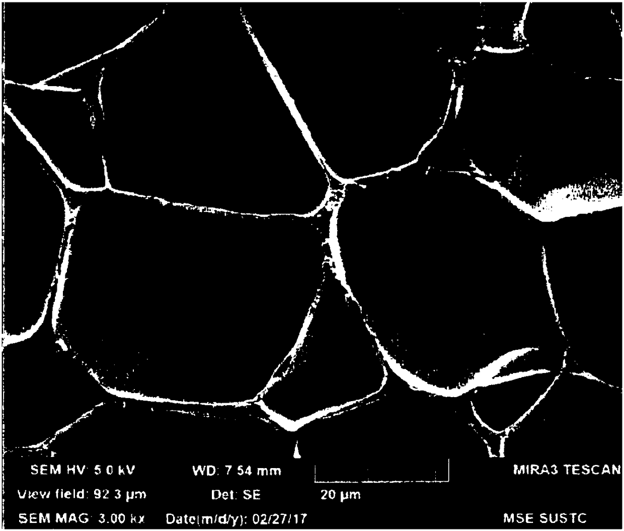 Thermoplastic polymer foam bead and method for preparing same