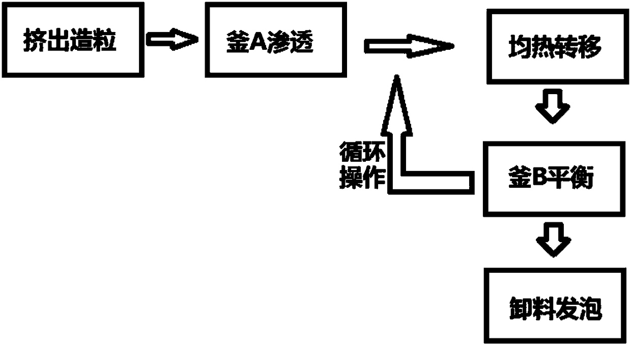 Thermoplastic polymer foam bead and method for preparing same