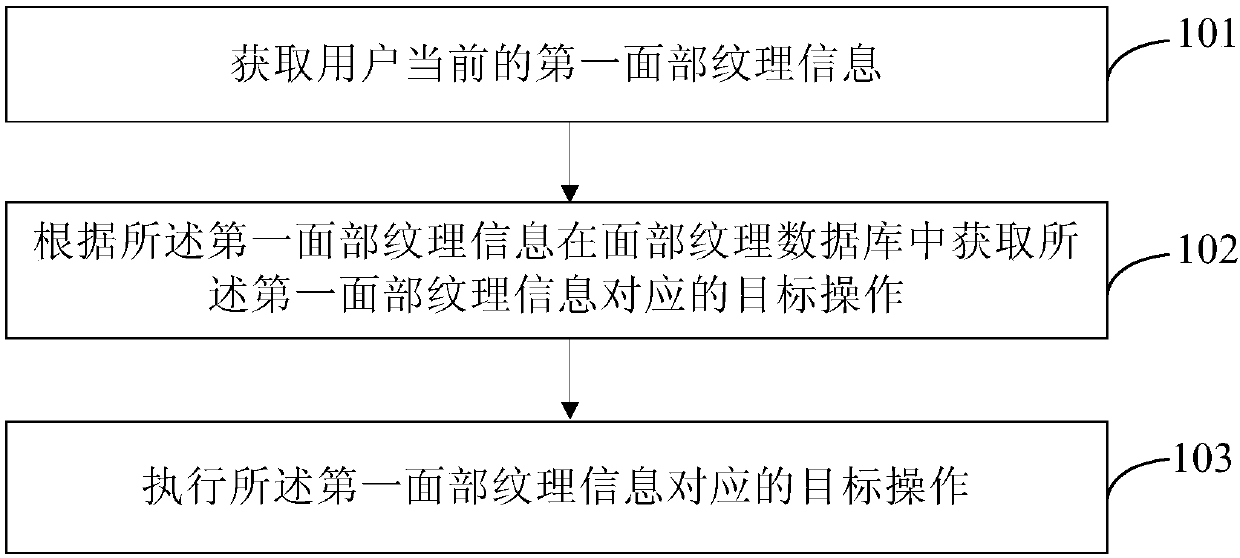 Terminal control method and system based on facial texture recognition