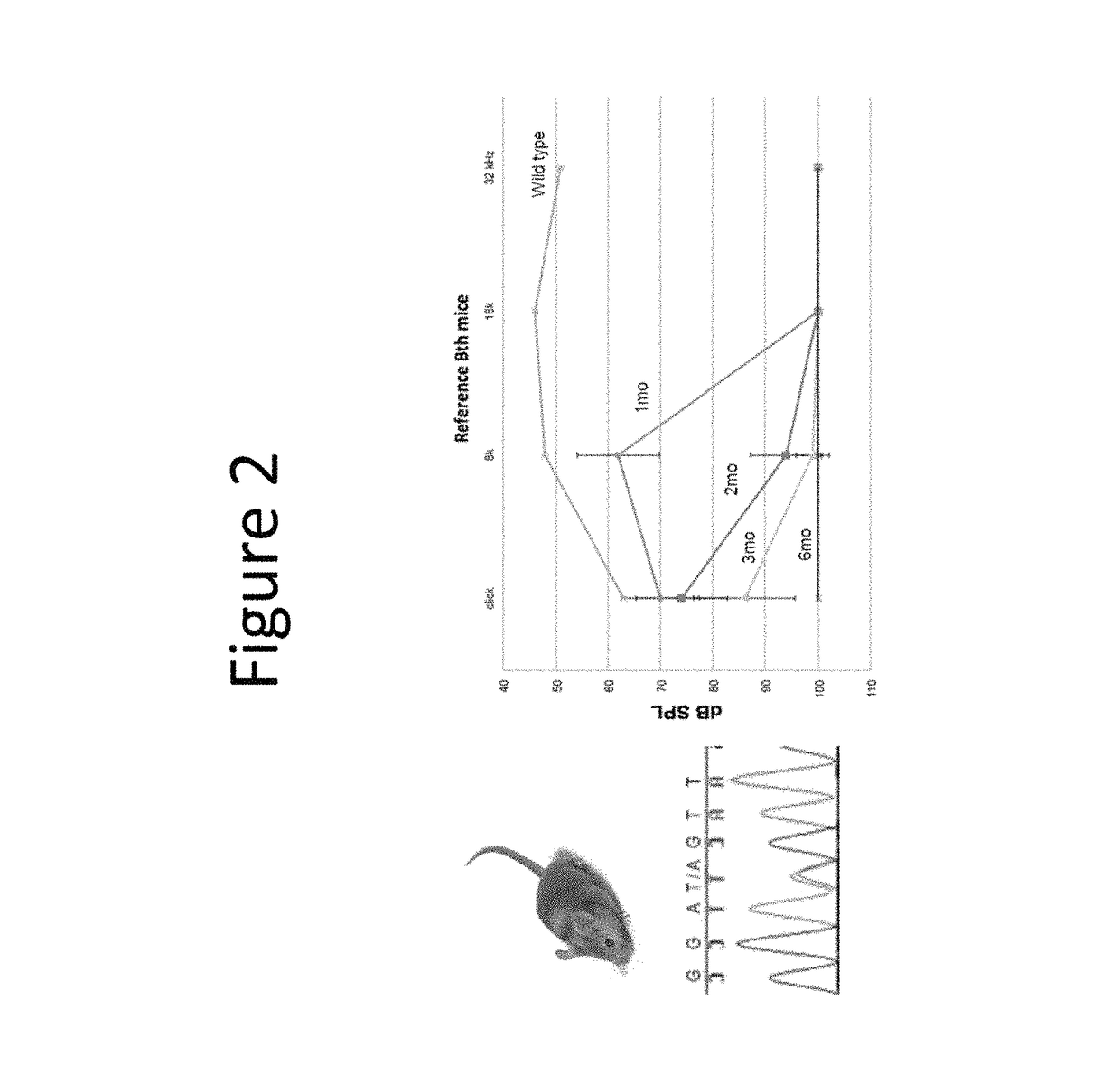 Methods to prevent and treat autosomal dominant non-syndromic hearing loss