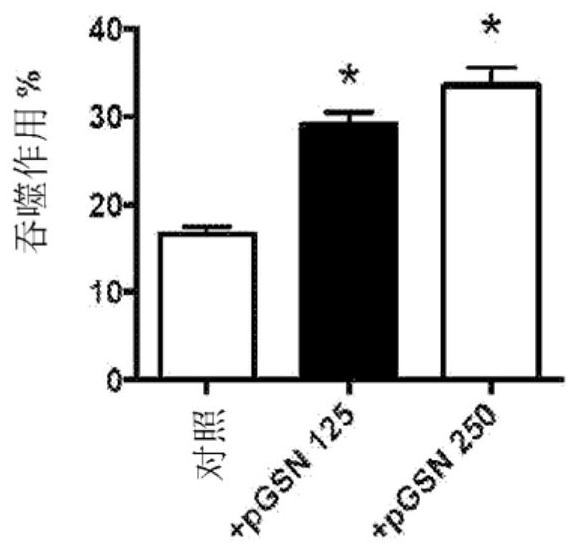 Compositions and synergistic methods for treating infections