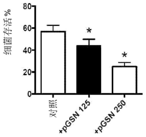 Compositions and synergistic methods for treating infections