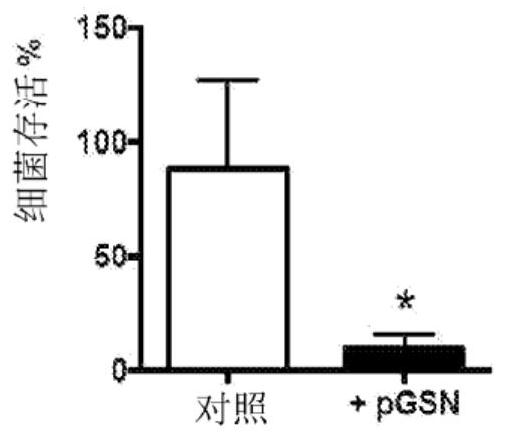 Compositions and synergistic methods for treating infections