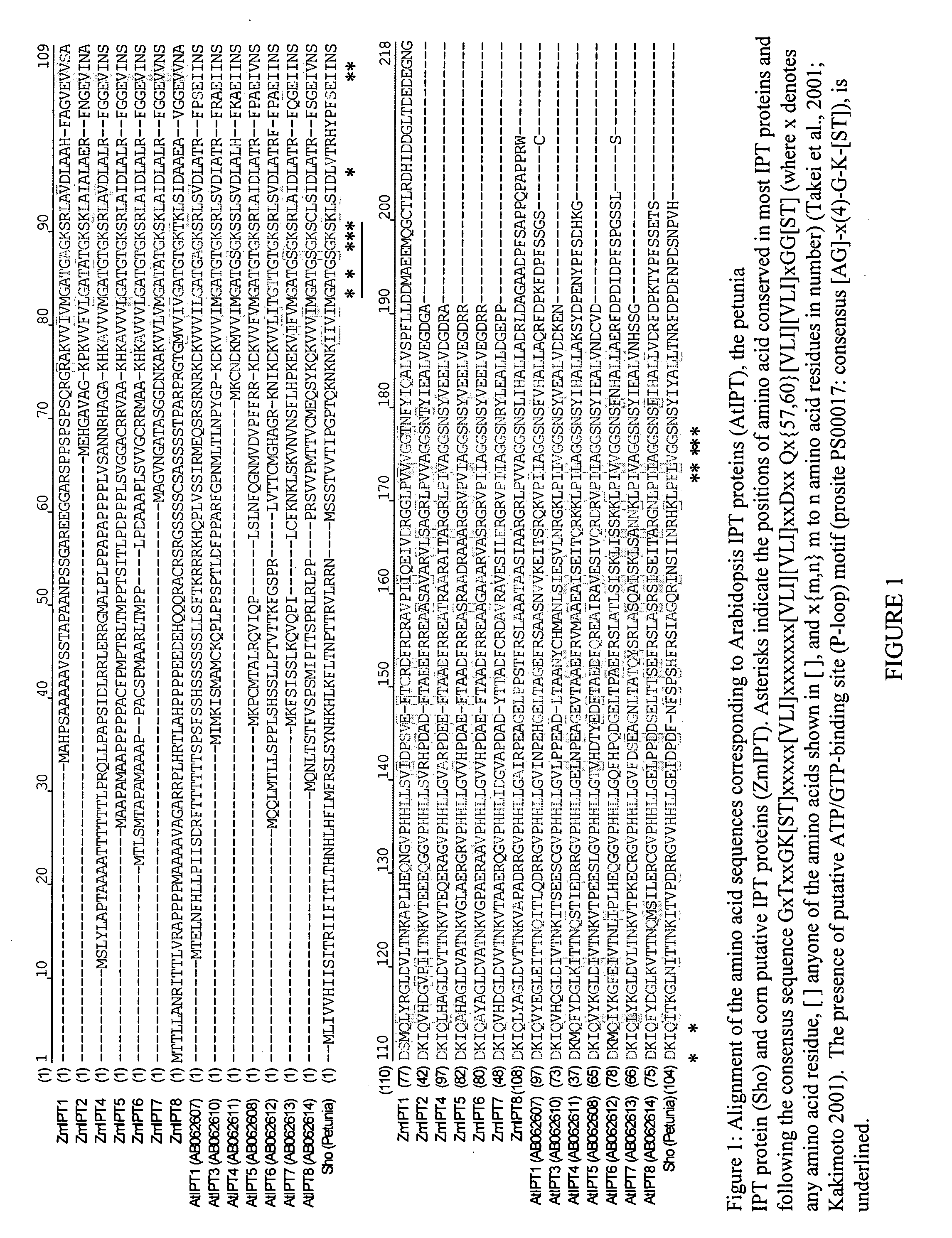 Isopentenyl transferase sequences and methods of use