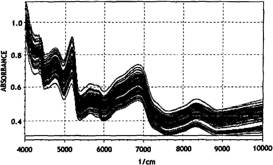 Rapid determination method for evaluation of storage quality of grain