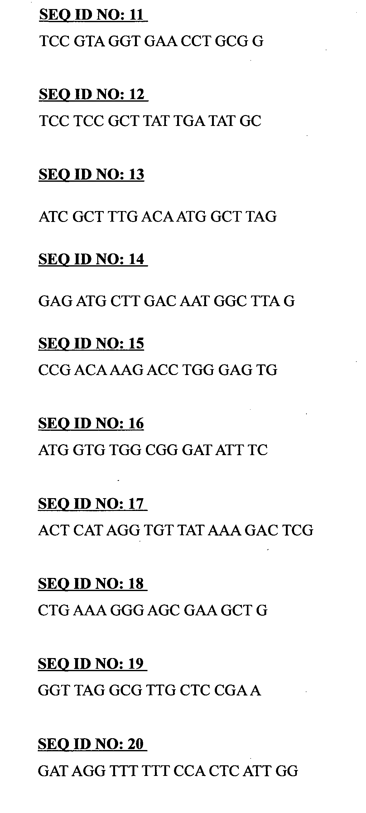 Method for detecting and identifying candida species