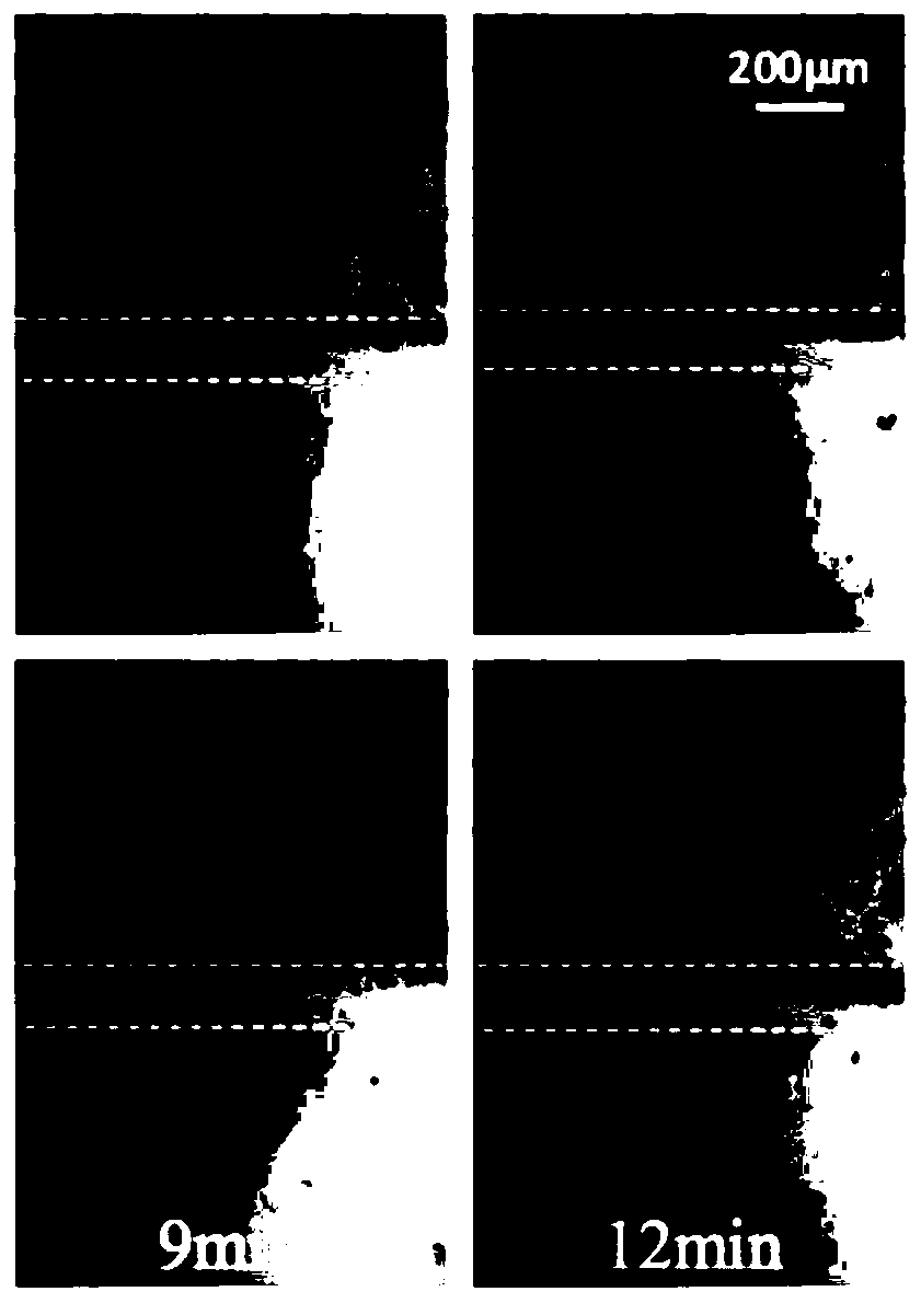 A double-layer composite hydrogel for repairing osteochondral tissue, preparation method and application