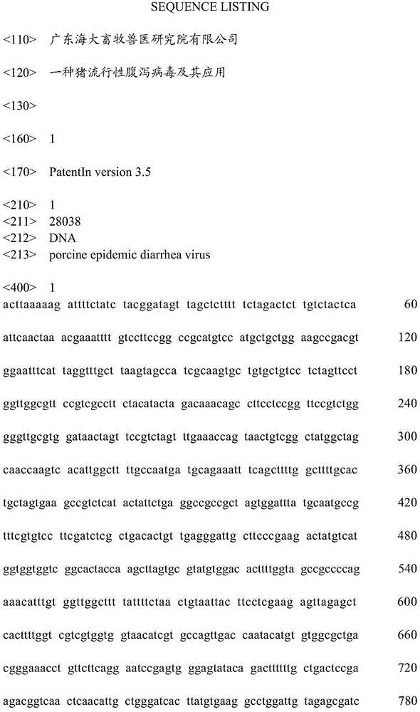 Swine epidemic diarrhea virus and application thereof