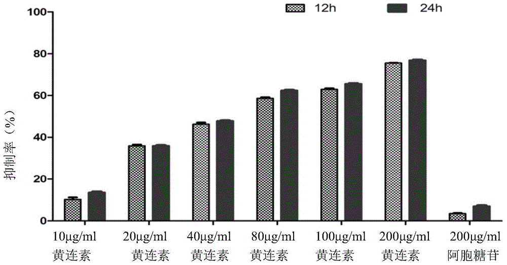 Application of berberine to preparing medicine for treating acute myeloid leukemia