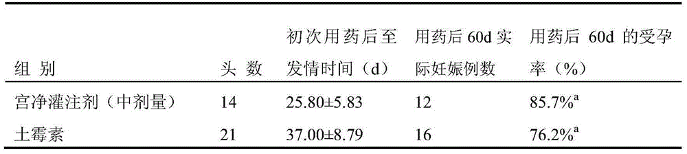 Traditional Chinese medicine uterus cleaning perfusion agent for treating livestock endometritis and preparation method thereof