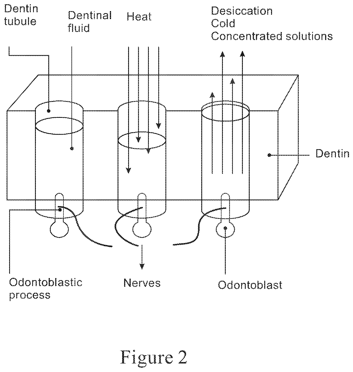 Cannabis and Derivatives Thereof for the Treatment of Pain and Inflammation Related with Dental Pulp and Bone Regeneration Related to Dental Jaw Bone Defects