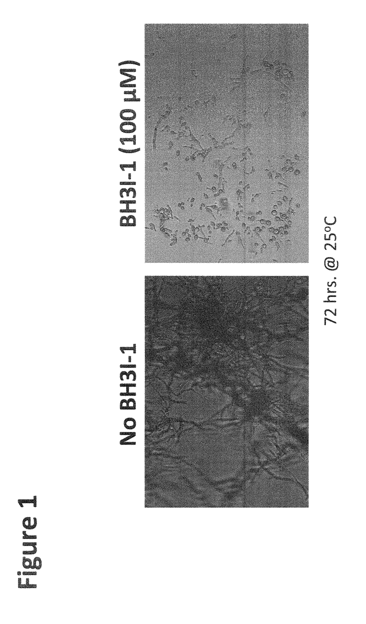 Method for inhibiting conidial germination and mycelial growth of fungi symbiotically associated with bark beetles