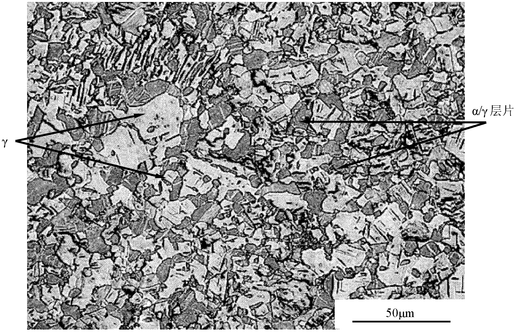 TiAl based alloy metallographic specimen corroding method