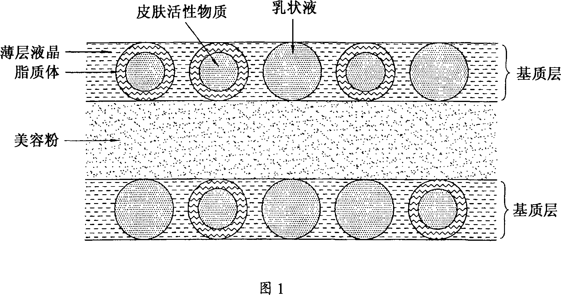 Cosmetic powder, its preparing method and make-up cosmetic composition comprising the same