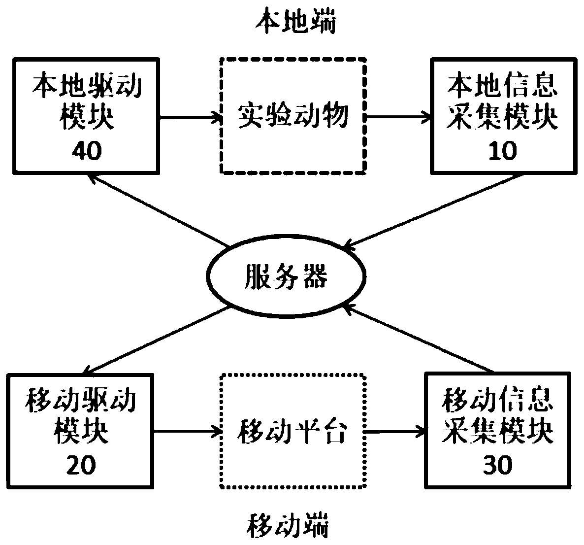 Virtual reality system and method for animal experiment