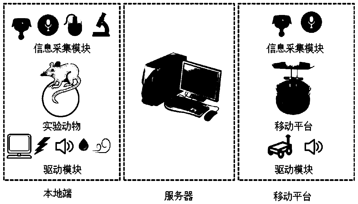 Virtual reality system and method for animal experiment