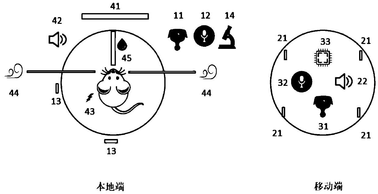 Virtual reality system and method for animal experiment