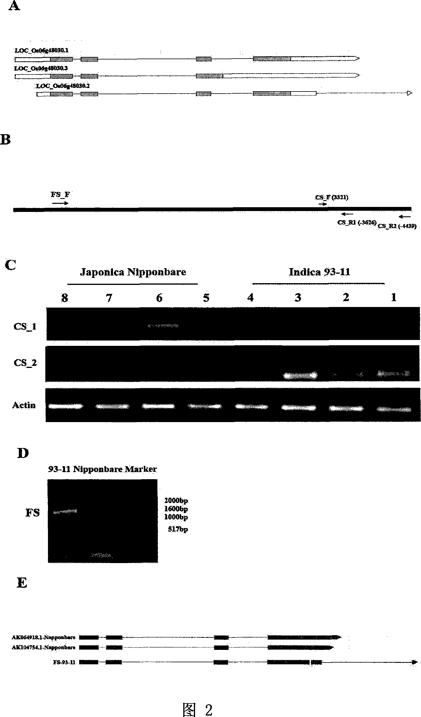 Method for assisting sifting motion of nonglutinous rice and non glutinous rice