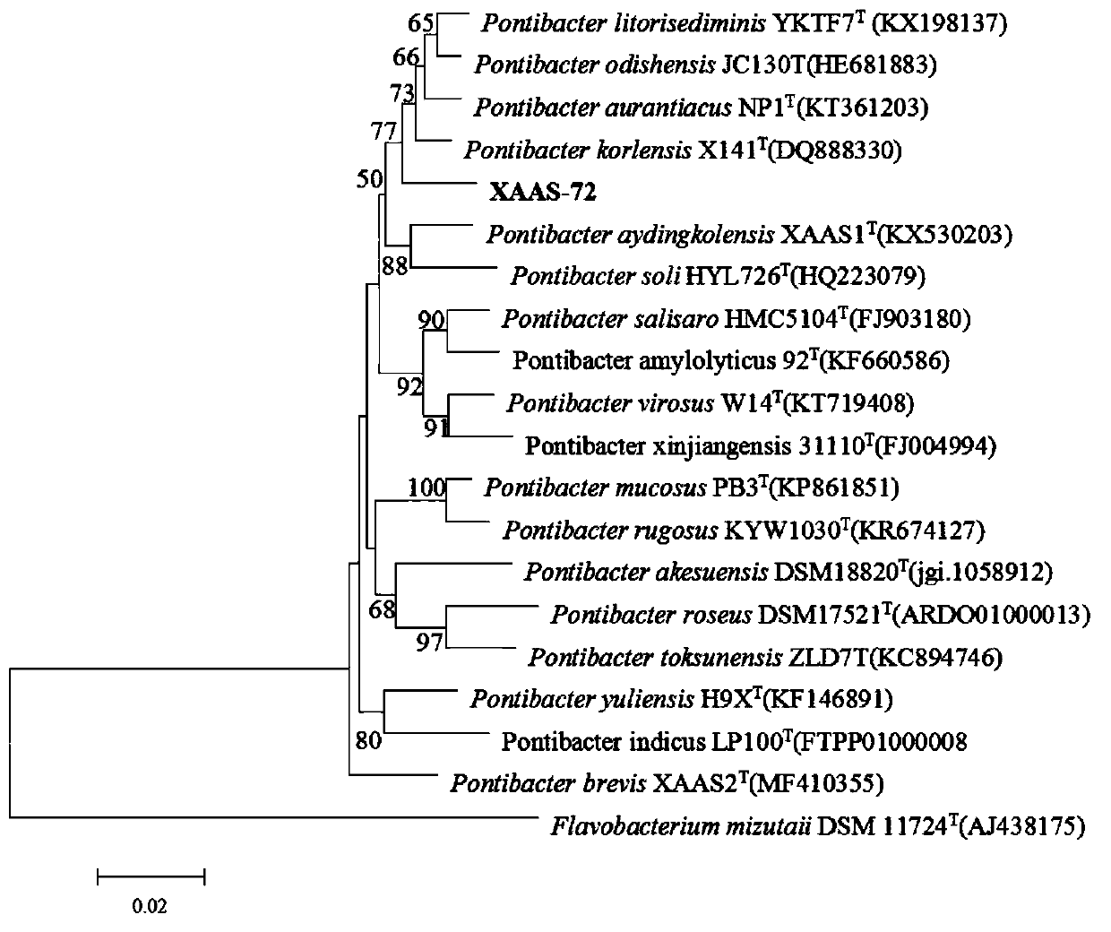 New strain marine bacteria XAAS-72 and applications in plant antibiosis and growth promotion