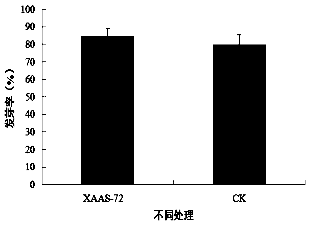 New strain marine bacteria XAAS-72 and applications in plant antibiosis and growth promotion