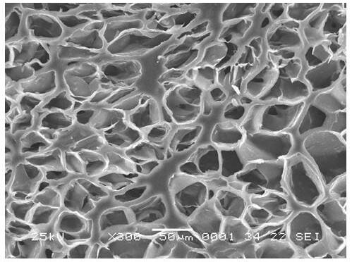 A kind of preparation method of cellulose airgel with oriented pore structure