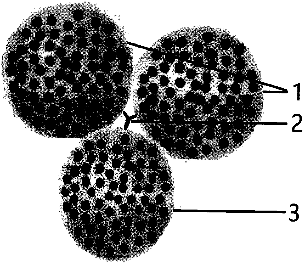 Method of transplanting and proliferating whole genomes for rare diseases