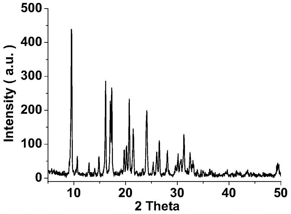 Template agent and preparation method therefor and application thereof