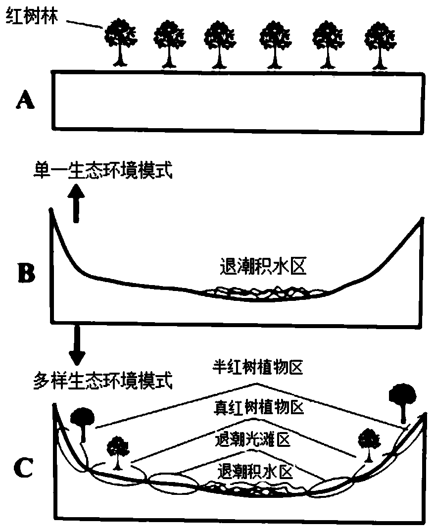 Method for returning ponds for recovery of forests and wetlands