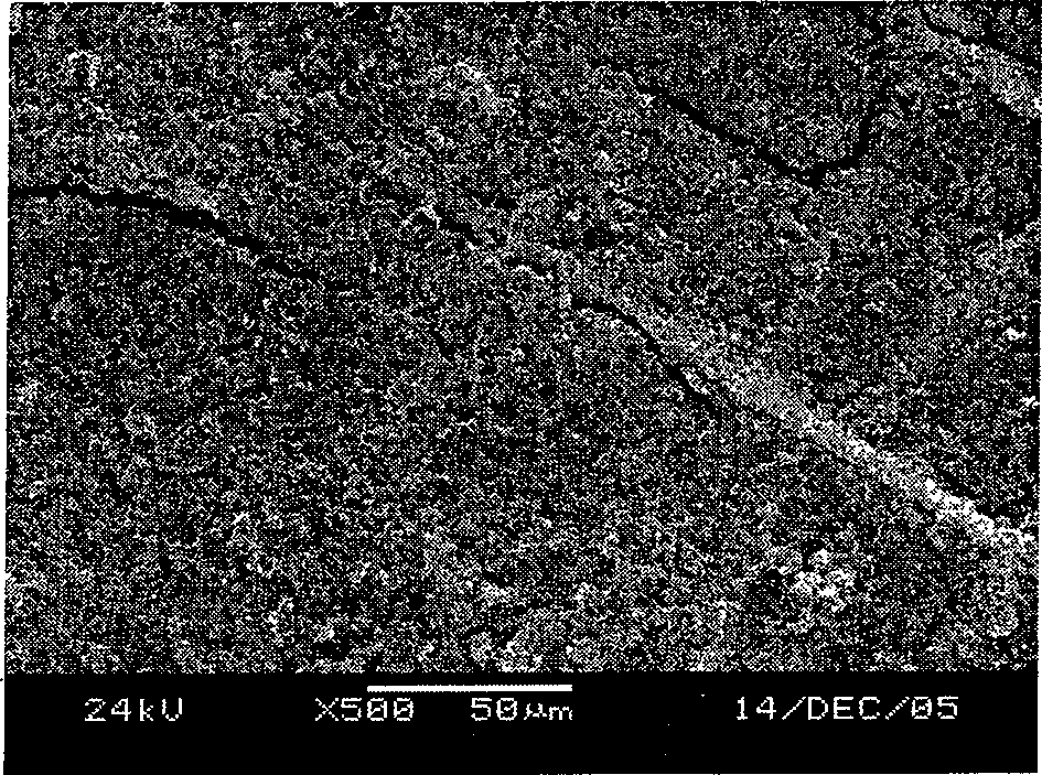 Gas diffusion layer for fuel cell and its production