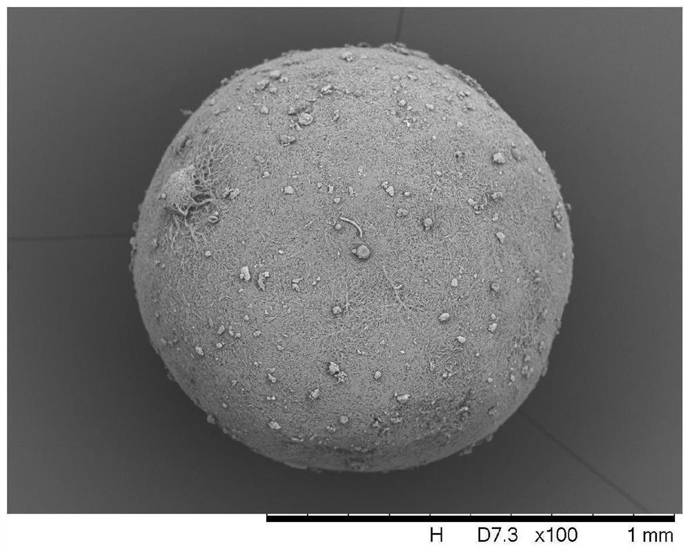 L-menthol loaded indomethacin composite particle and preparation method thereof