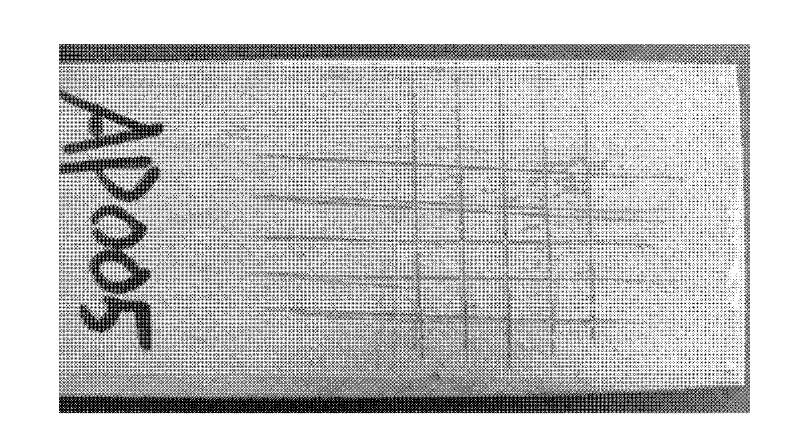 Preparation method of zinc-sprayed coating for long-acting corrosion prevention of nuclear waste storage barrel