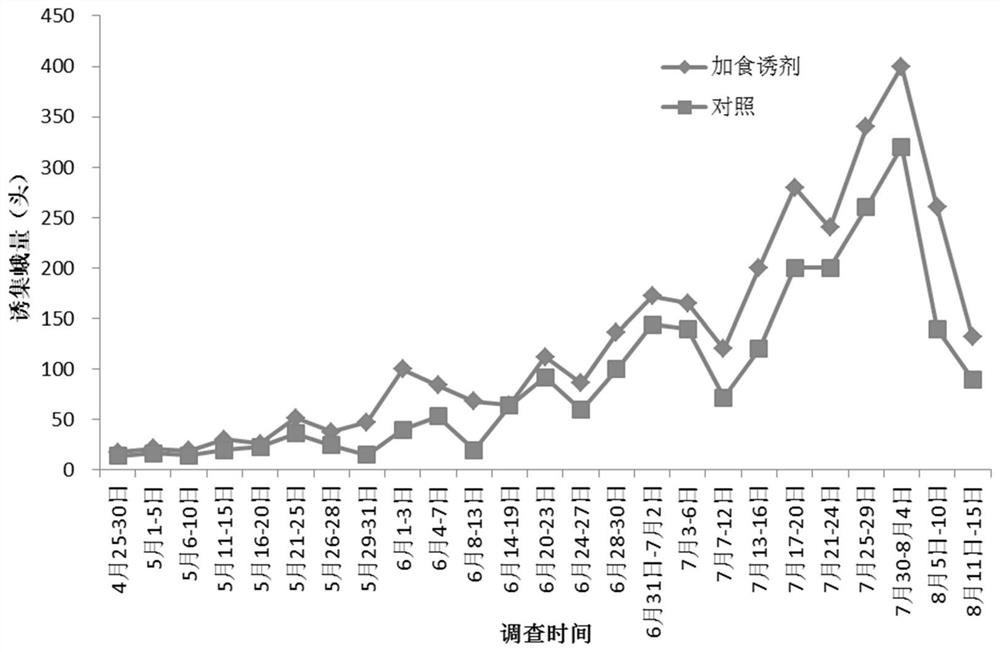 Method for preventing and controlling cotton bollworms through combined use of insecticidal lamp and phagostimulant