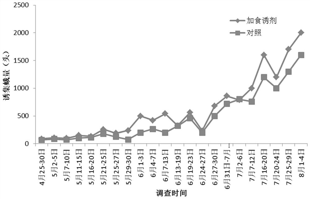 Method for preventing and controlling cotton bollworms through combined use of insecticidal lamp and phagostimulant