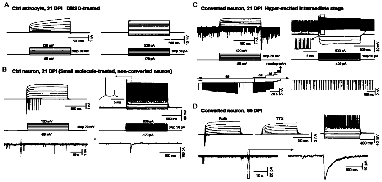 Composition and method for inducing astrocyte to become functional nerve cells