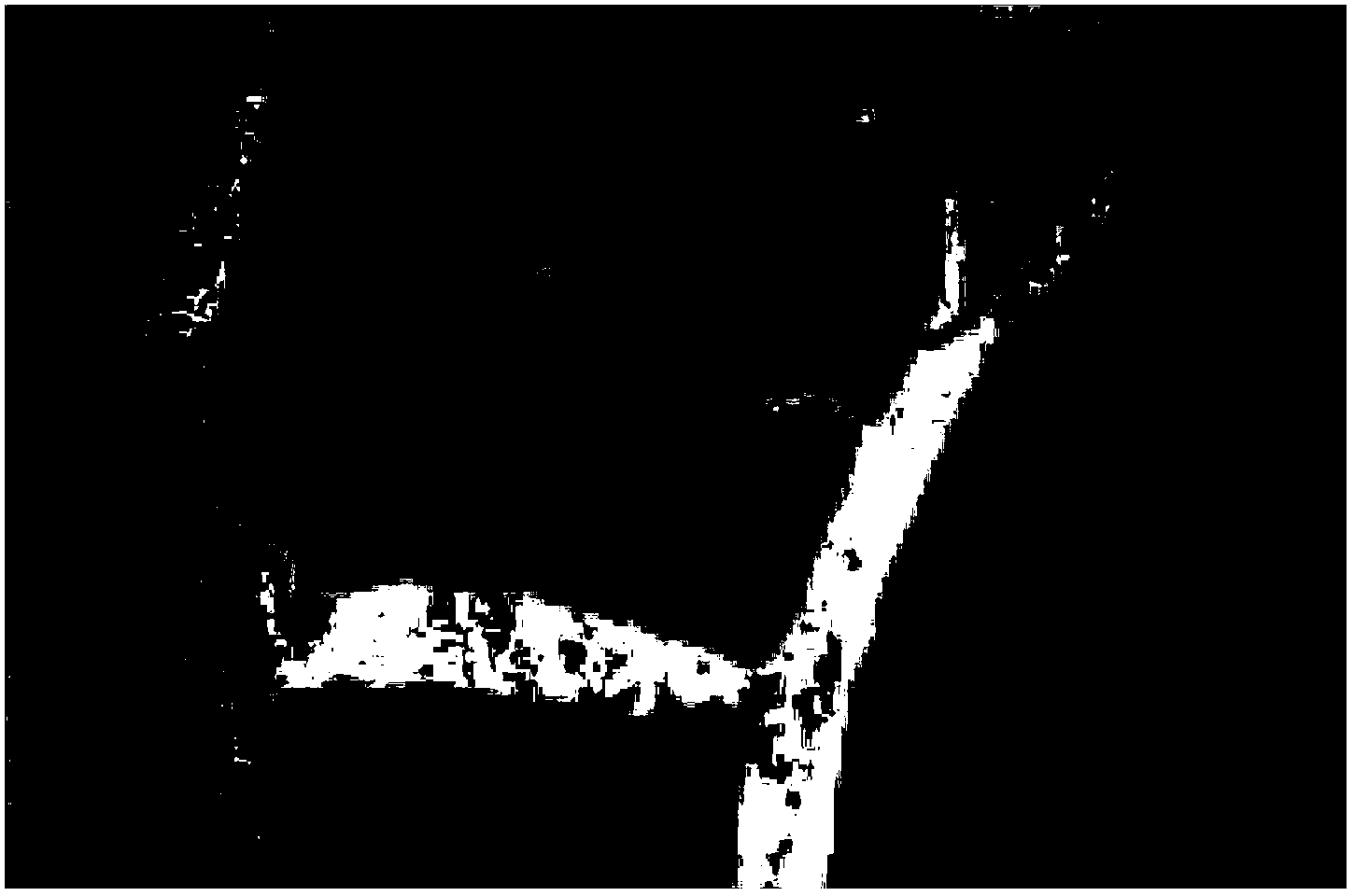 Vidarabine monophosphate pharmaceutical composition and preparation method thereof