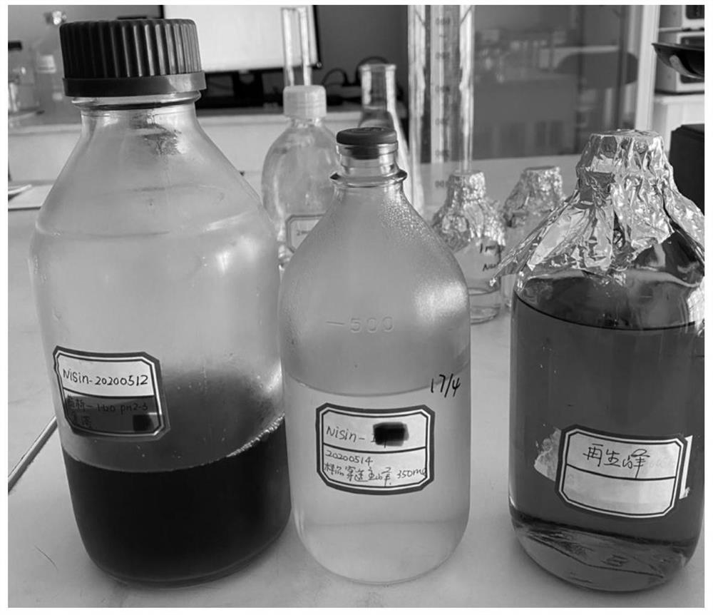 Renewable chromatographic system and method for removing nisin pigment and peculiar smell