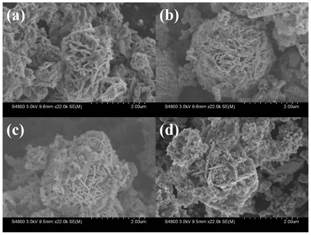 Piezoelectric photocatalyst, preparation method and application