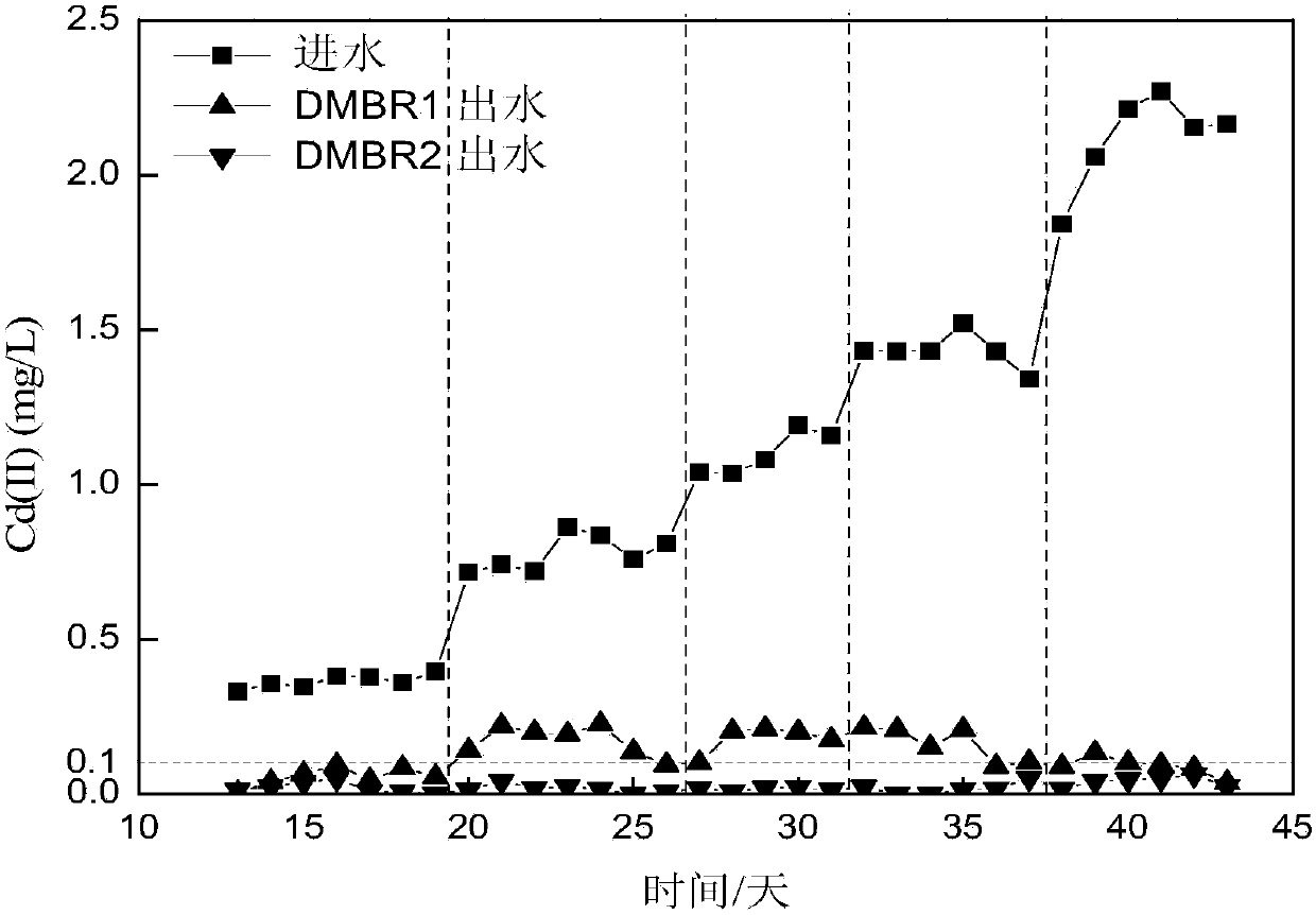 Pseudoalteromonas sp. capable of efficiently removing cadmium and phosphorus in wastewater and application thereof