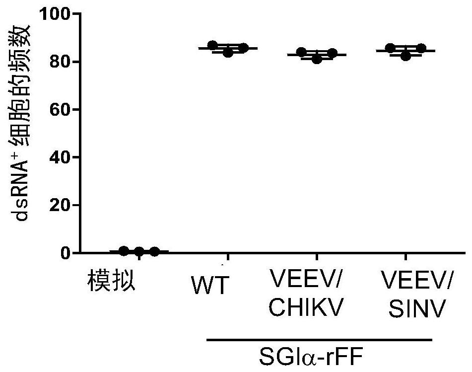 Alphavirus-based replicons for administration of biotherapeutics